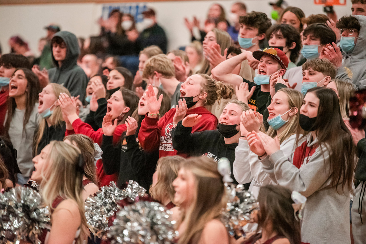 Bearcat fans cheer during a game in Rochester Tuesday night.