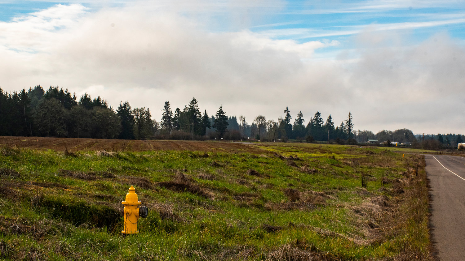 Land off Mickelsen Parkway in Winlock is seen during a tour of the property Tuesday morning.
