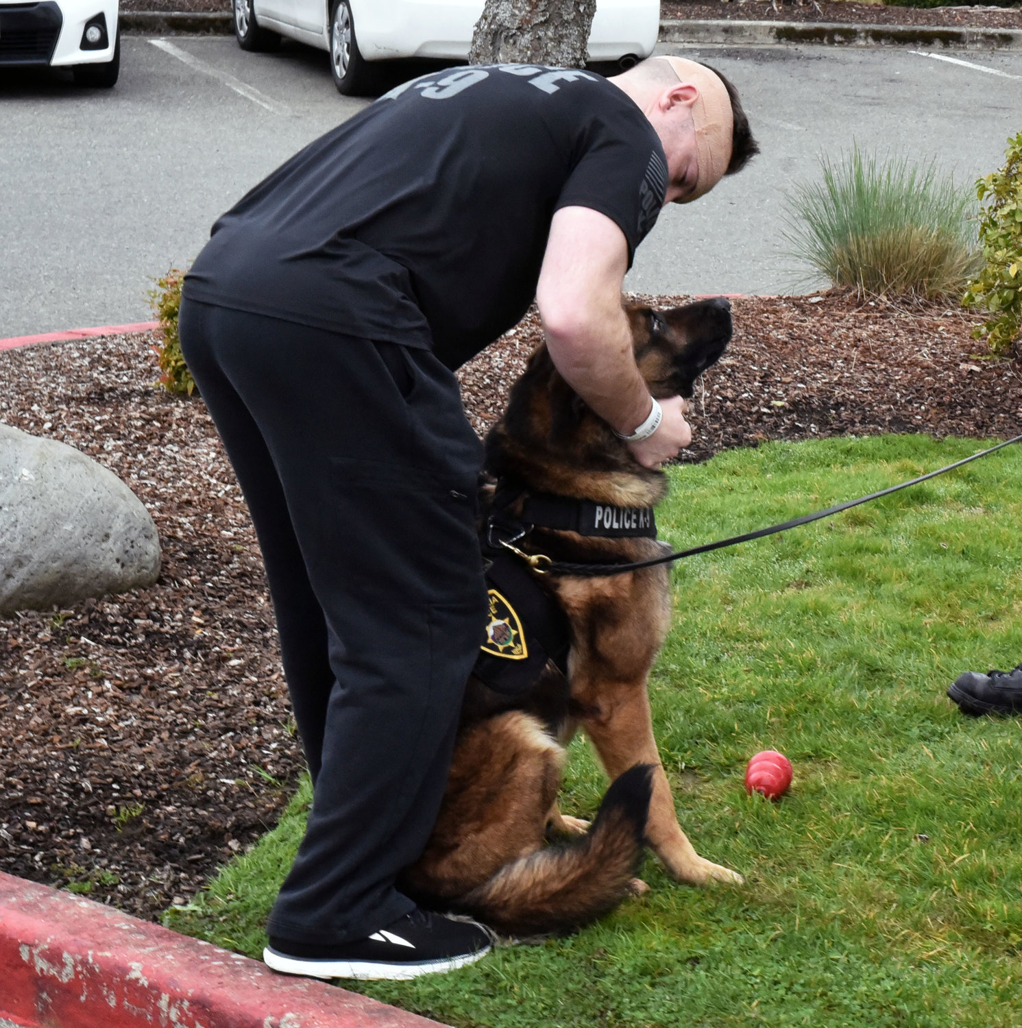 Centralia K9 Officer Stephen Summers is reunited with Samson after being stabbed by a child rape suspect in Chehalis on Friday. He was released from Providence Centralia Hospital Saturday morning.