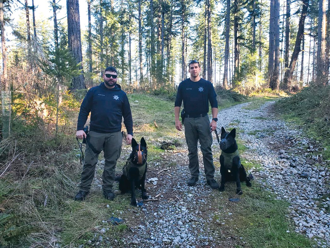The Thurston County Sheriff’s Office K-9 Unit announced its two newest additions in a Facebook post on Feb. 21. The unit has added K-9 Bowie and K-9 Igo, who are on day six of training. The dogs will replace K-9 Jaxx and K-9 Dexter. They are partnered with Deputy Nault and Deputy Bagby, respectively.