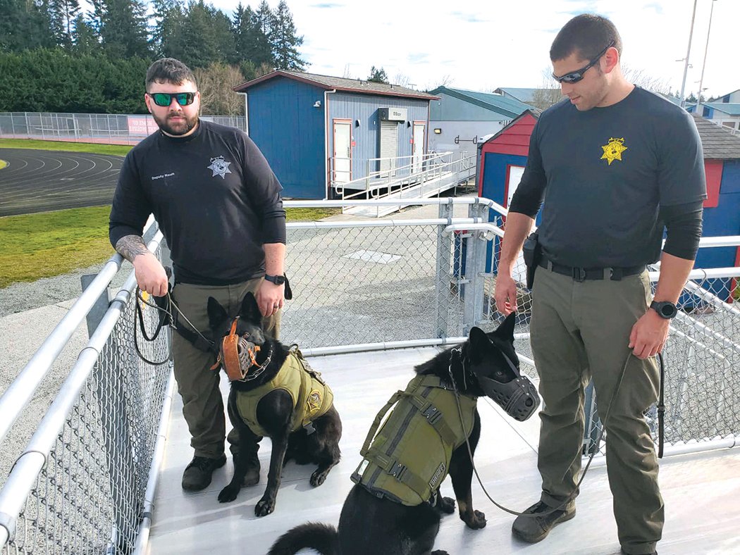 The Thurston County Sheriff’s Office K-9 Unit announced its two newest additions in a Facebook post on Feb. 21. The unit has added K-9 Bowie and K-9 Igo, who are on day six of training. The dogs will replace K-9 Jaxx and K-9 Dexter. They are partnered with Deputy Nault and Deputy Bagby, respectively.