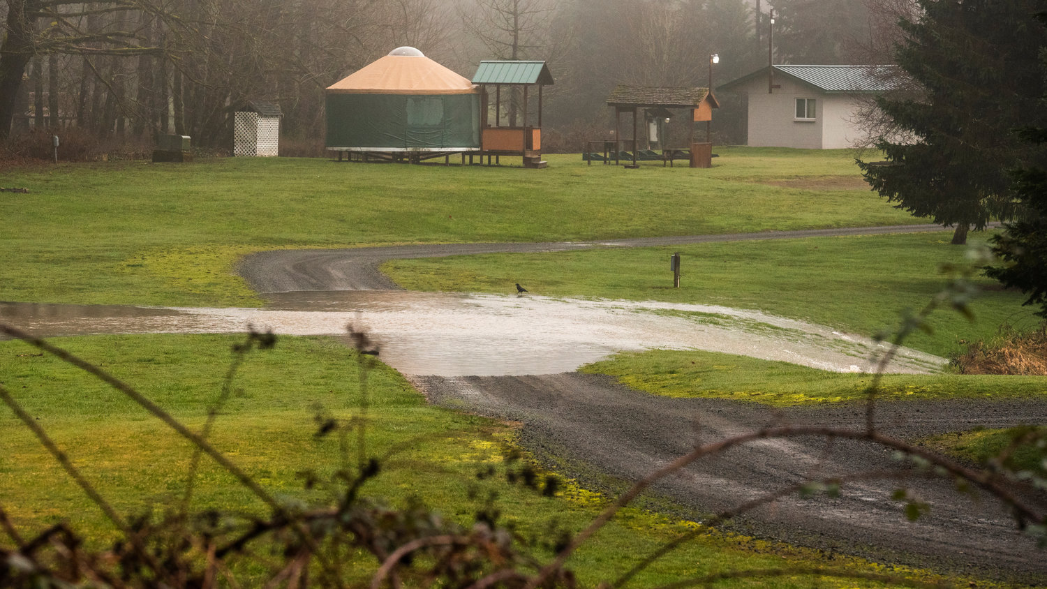 Water from the Cowlitz flows over a driveway in Randle off Highway 131 on Tuesday.