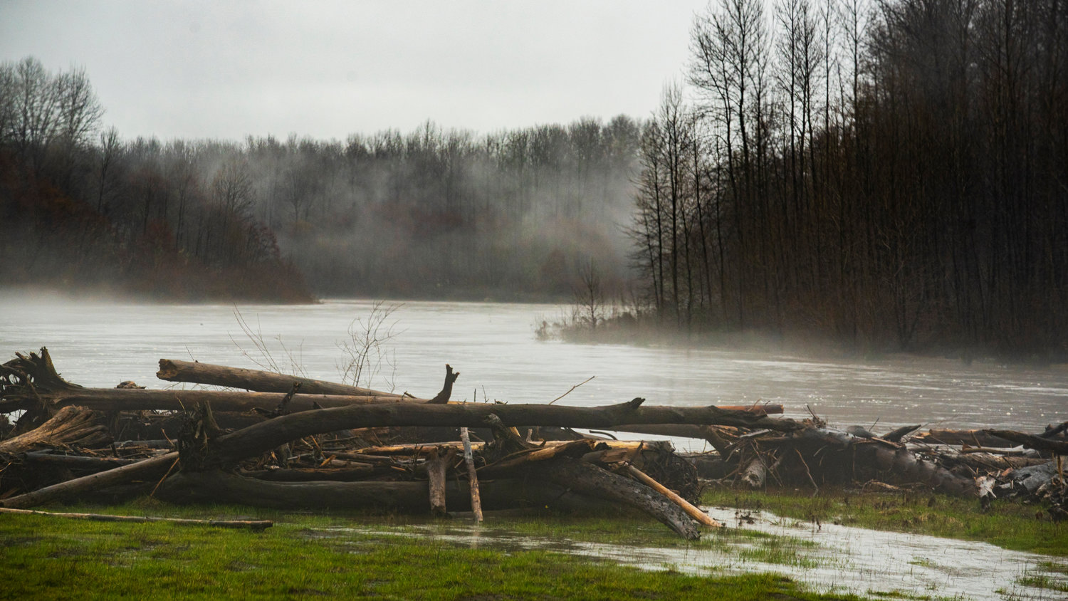 Water flows as fog drifts above debris floating in the Cowlitz River Tuesday near Randle.