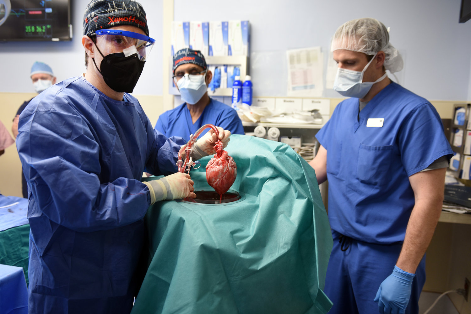 Doctors hold a pig heart that was transplanted into a Maryland man. Surgeons and clinicians from the University of Maryland School of Medicine and the University of Maryland Medical Center performed the first successful transplant of a genetically modified pig’s heart to save his life, officials from the health system said. (Courtesy University of Maryland School of Medicine/TNS)