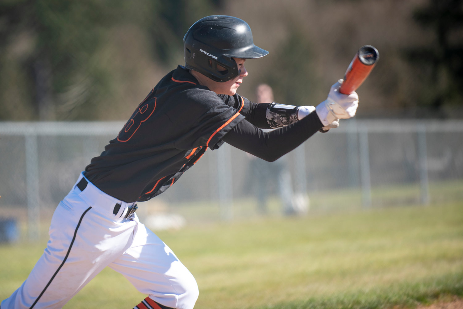 A Napavine baseball player lines up a bunt against Ilwaco at home on Saturday, March 12.