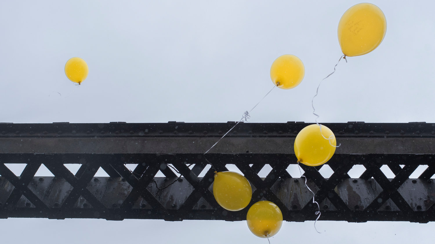 Balloons catch on a bridge structure over the Chehalis River before continuing on over the Willapa Hills Trail Wednesday afternoon during an event in remembrance of Zachary Rager.