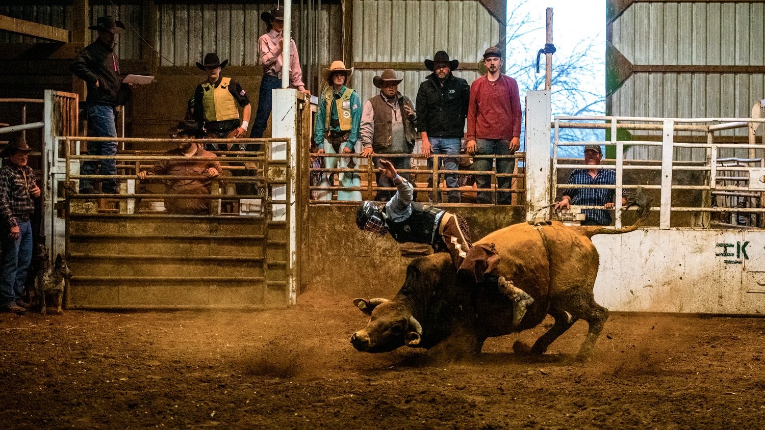 Auto O’Neil tries to stay on a bull fresh out of the gate at a Lazy HK Bar Rodeo Winter Series event Saturday in Silver Creek.