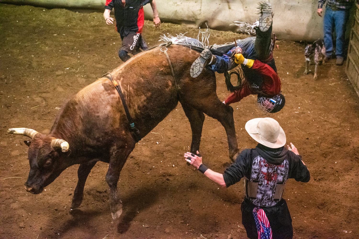 A rider is thrown from a bucking bull during a Lazy HK Bar Rodeo Winter Series event Saturday in Silver Creek.