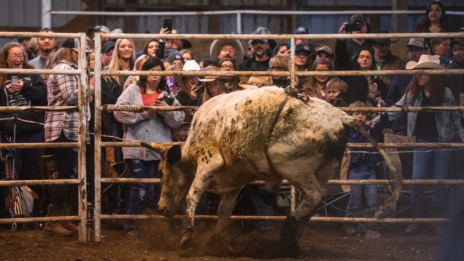 Crowds react to a bucking bull near a fence at a Lazy HK Bar Rodeo Winter Series event Saturday in Silver Creek.