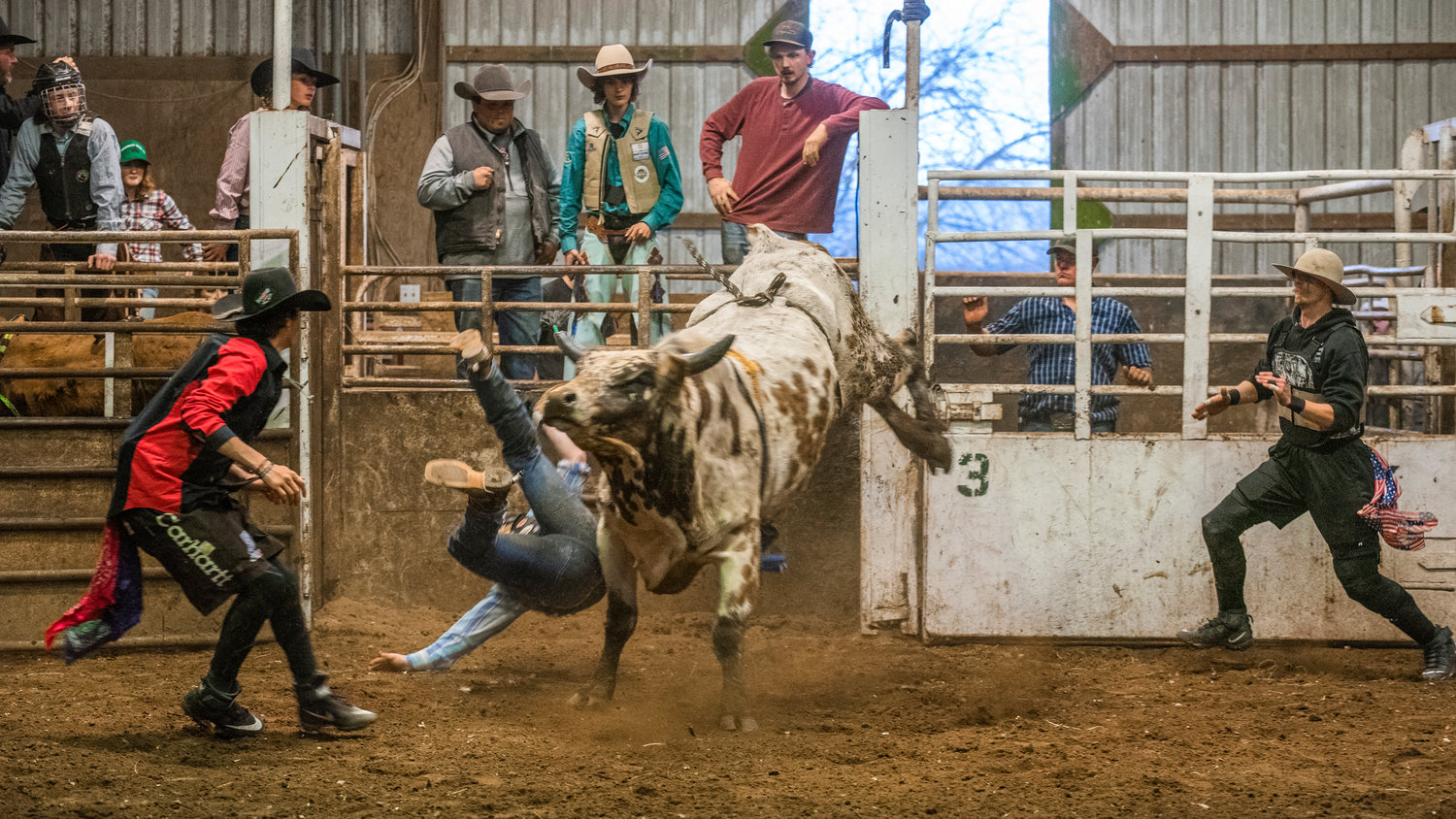 A rider braces for impact as he loses grip during a Lazy HK Bar Rodeo Winter Series event Saturday in Silver Creek.