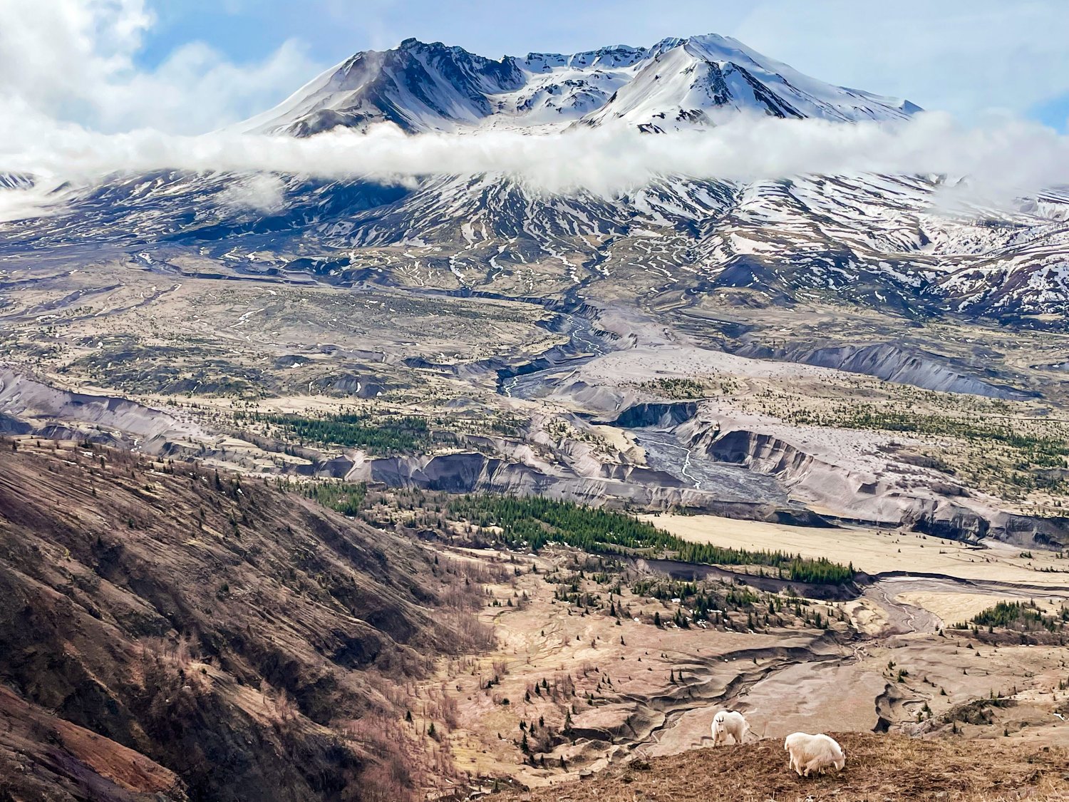 Mount St. Helens is pictured from the Johnston Ridge Observatory Tuesday, March 29, 2022.