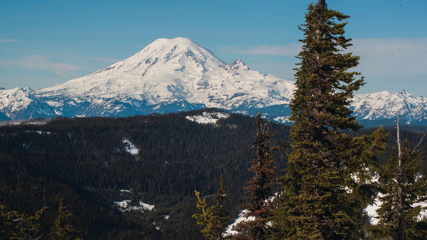 The glacial crown of Mount Rainier stretches above foothills seen from the White Pass Ski Area last January.