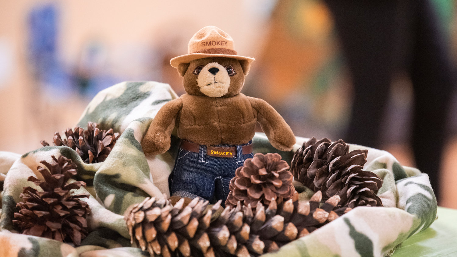 A Smokey the Bear stuffed animal sits on display Thursday night at the Packwood Community Center.