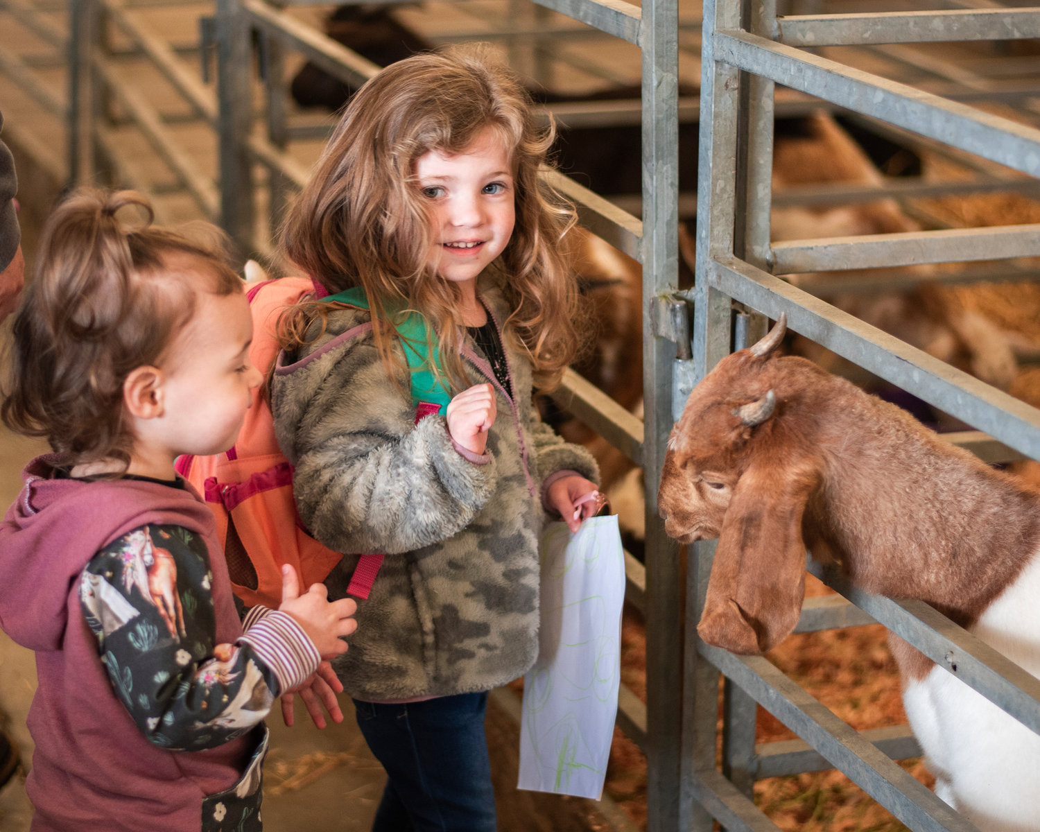 Adalynn, 2, and Nora, 4, smile while petting a goat at the fairgrounds before the Spring Youth Fair opening on Friday afternoon.