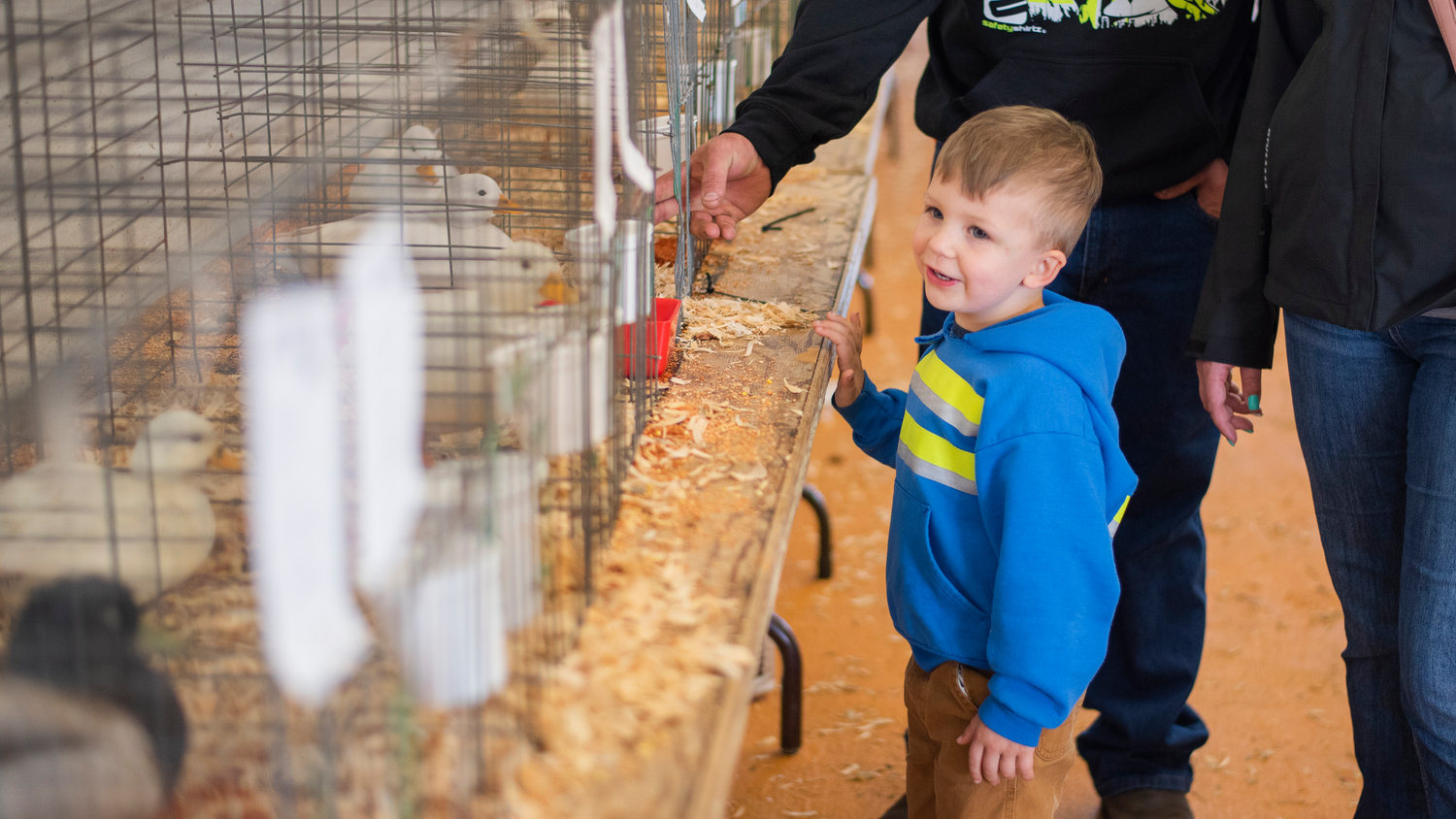 Jayce Burdick, 3, smiles while looking at ducks during the Spring Youth Fair in Centralia on Saturday at the Southwest Washington Fairgrounds.