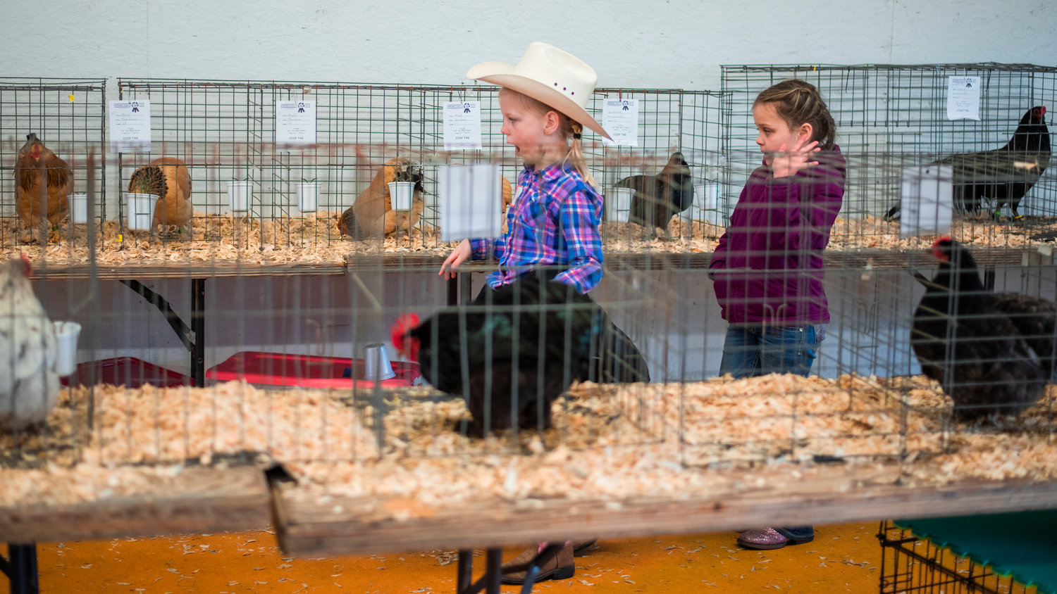 Girls walk through the Poultry Barn at the Southwest Washington Fairgrounds on Saturday during the Spring Youth Fair.