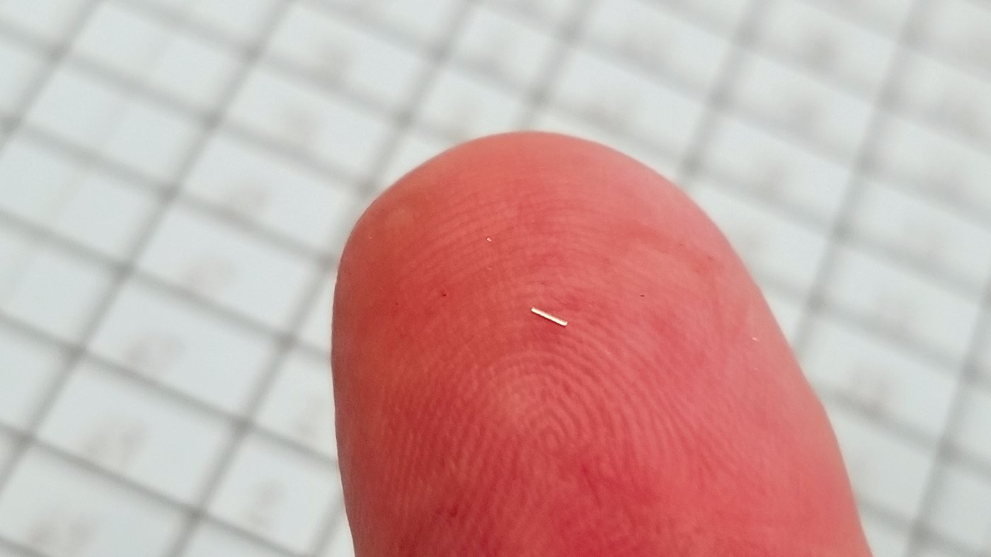 A coded wire tag on a fingertip.