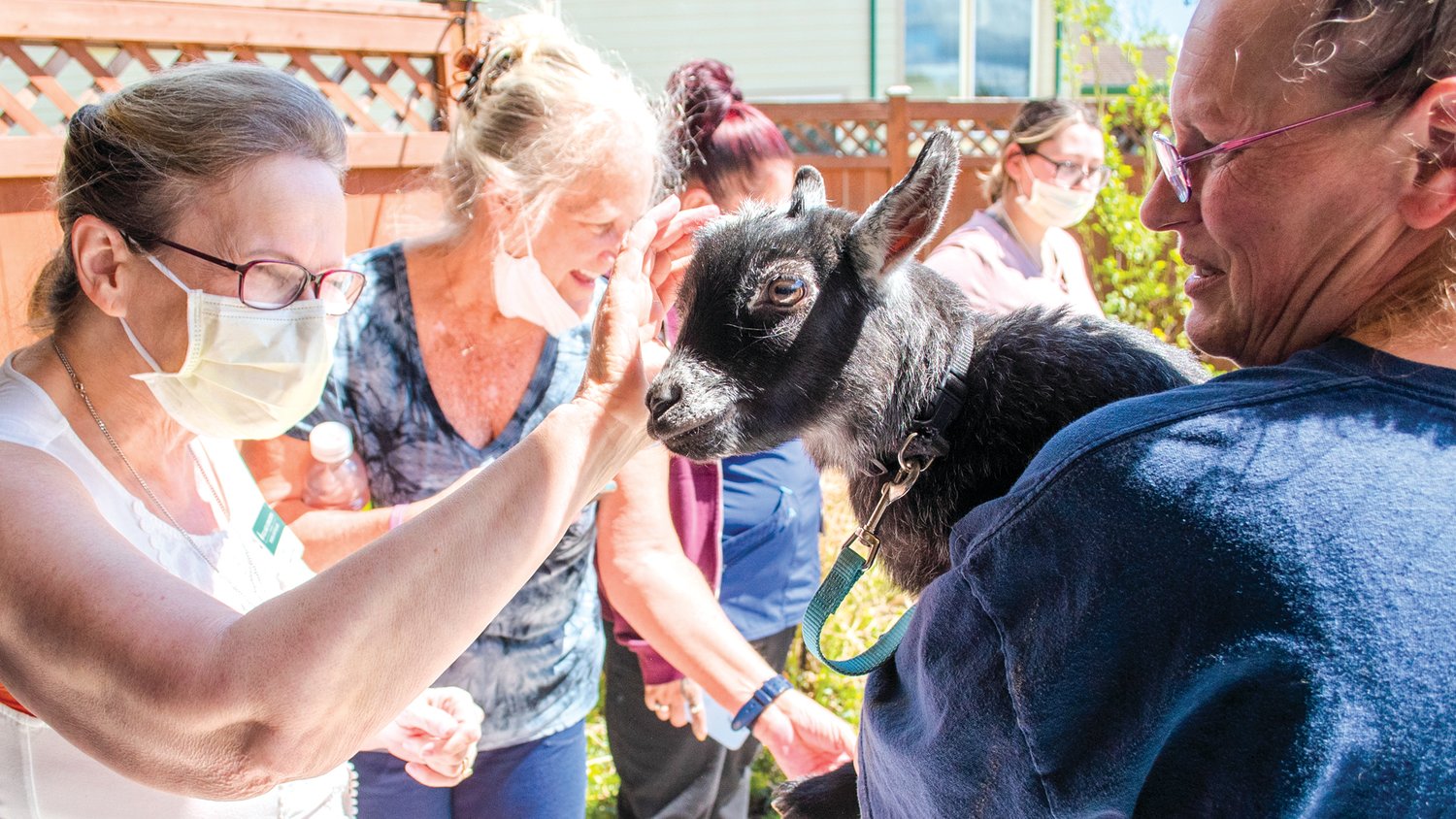 Resident Care Director Tammy Muniz pets a pygmy goat at Woodland Village Concepts of Chehalis, Thursday afternoon.