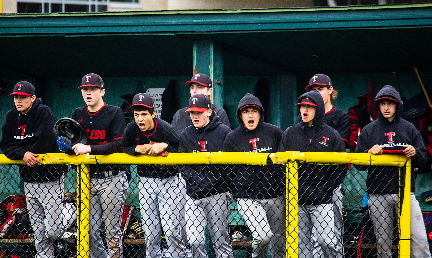 Toledo's dugout yells during a 2B regional round game against Chewelah at Shadle Park May 21.