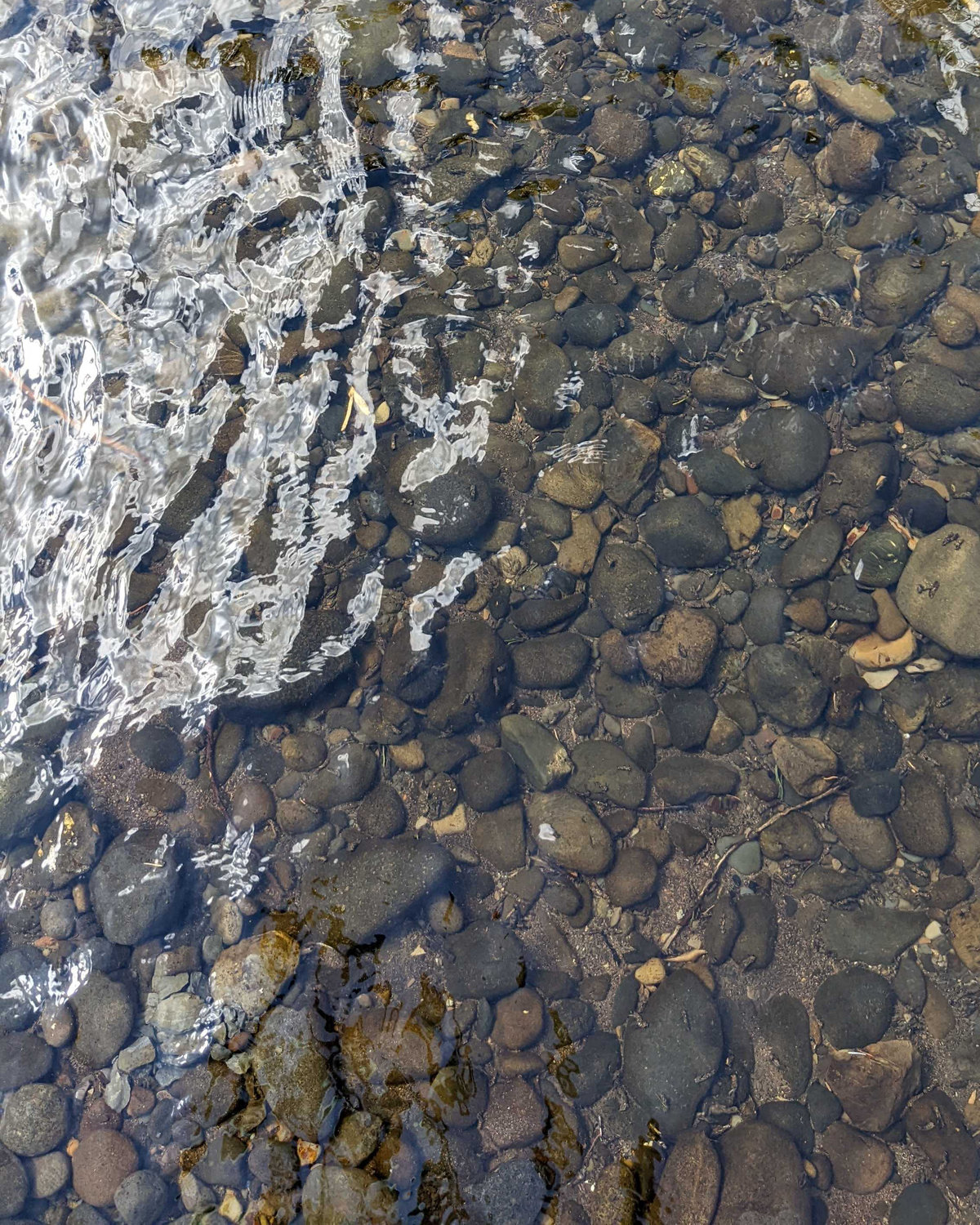 Rocks are seen under the surface of the Chehalis River on Saturday near Pe Ell.