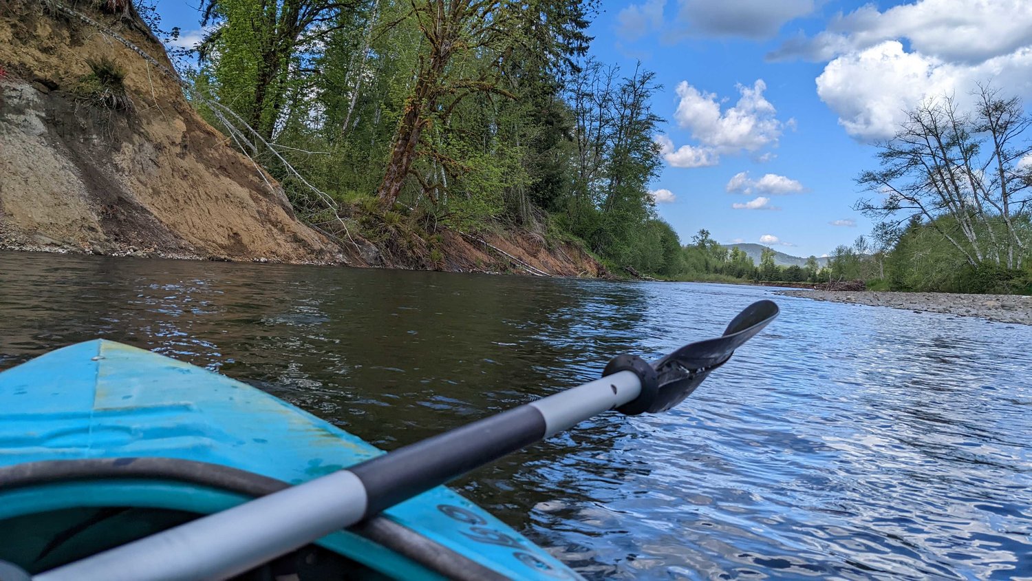 Eroded banks of the Chehalis River are seen on Saturday from Isabel Vander Stoep’s kayak.