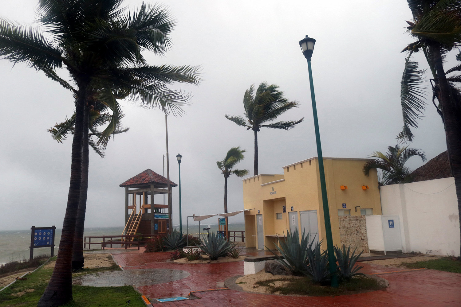 Palm trees blow in the wind before Hurricane Agatha makes landfall in Huatulco, Oaxaca State, Mexico on May 30, 2022. (Gil Obed/AFP via Getty Images/TNS)