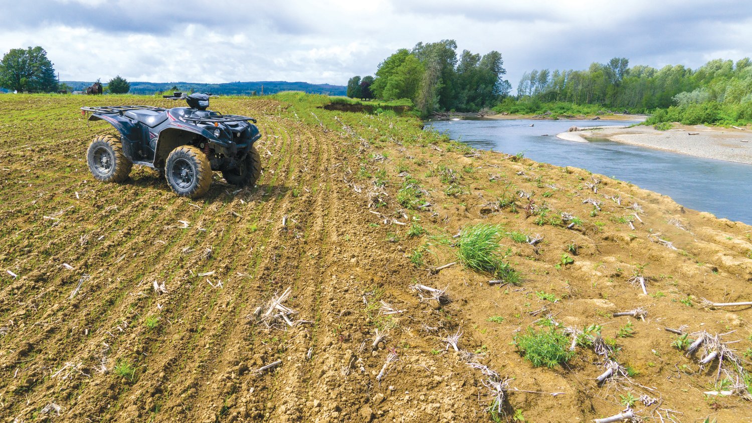 A quad is seen parked in a planted corn field along a bank at the confluence of the Satsop and Chehalis Rivers.