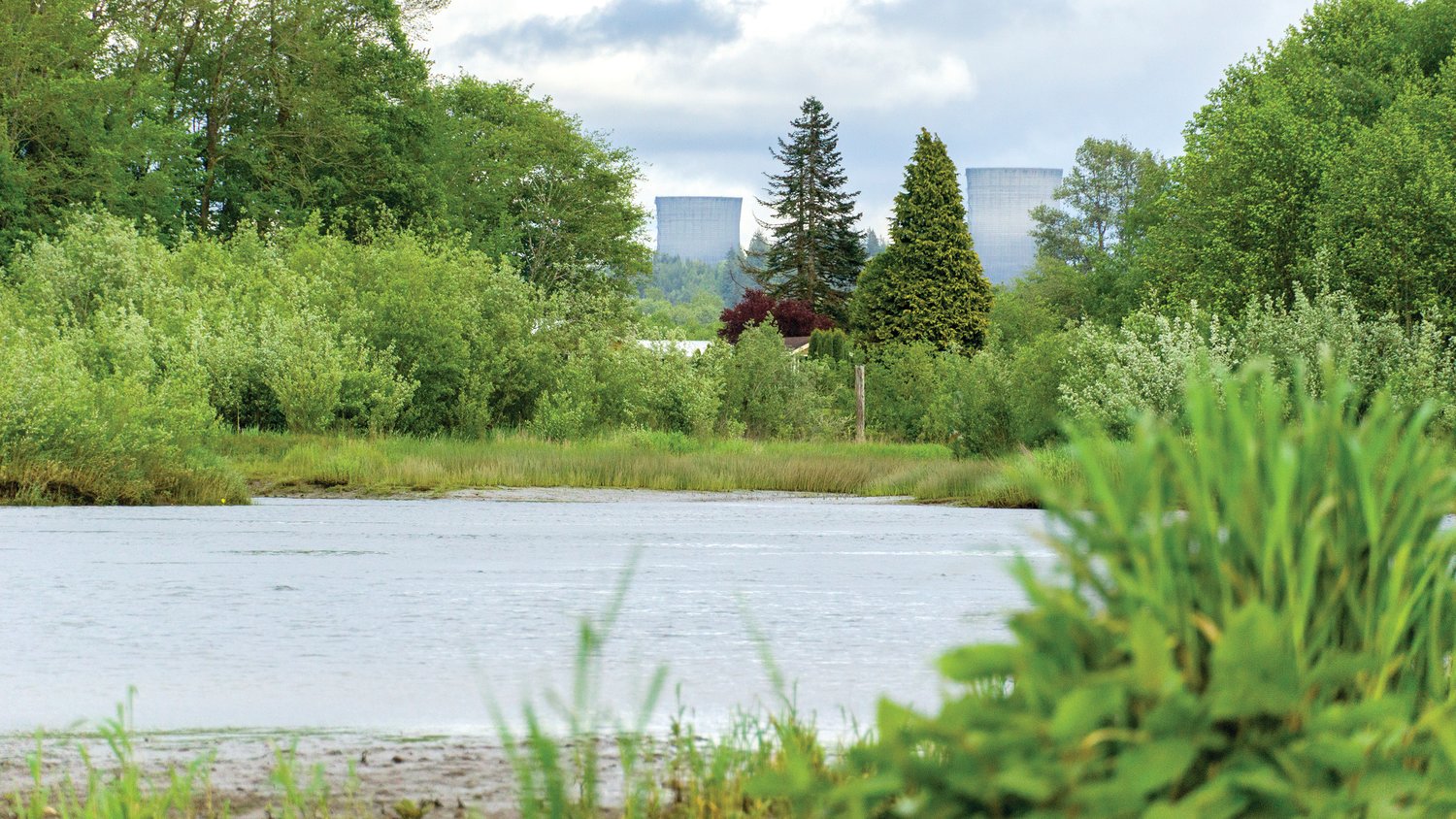 The Satsop stacks are seen from the Chehalis River near Montesano.