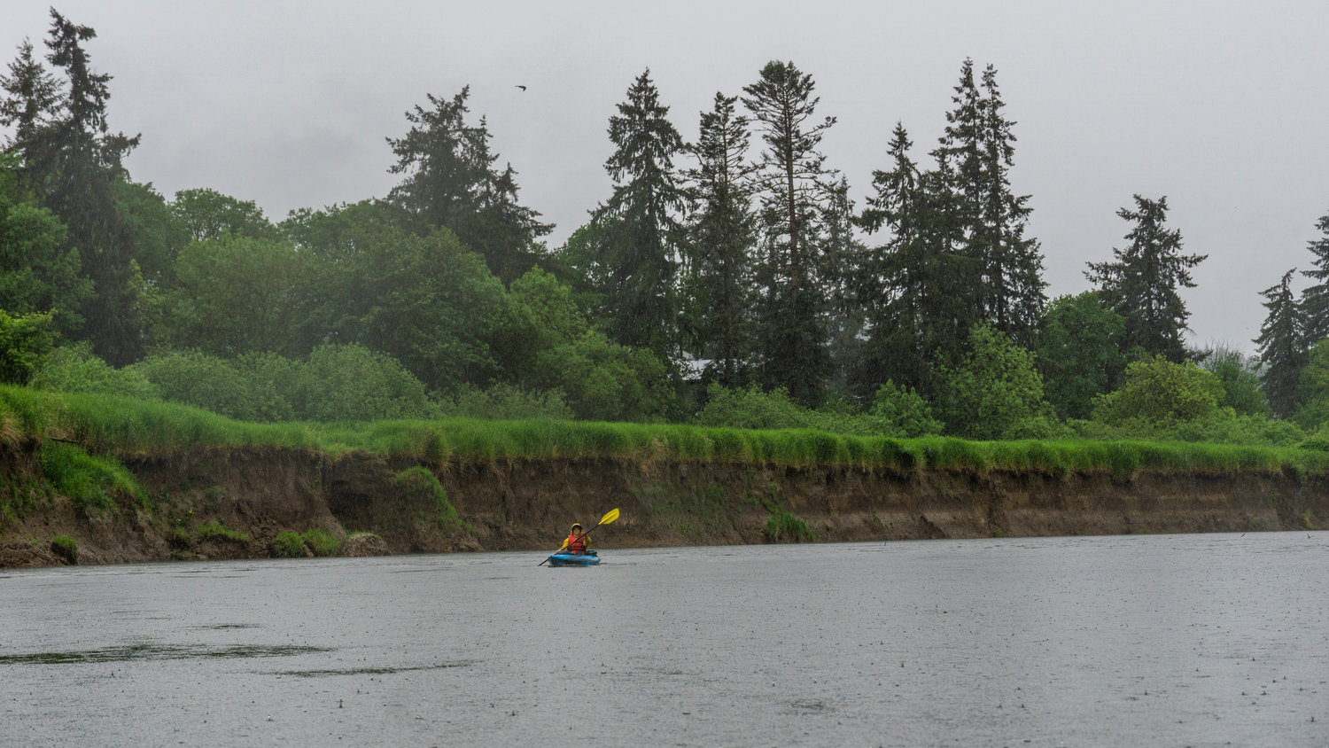 Reporter Isabel Vander Stoep paddles through rain on the Chehalis River near Porter.