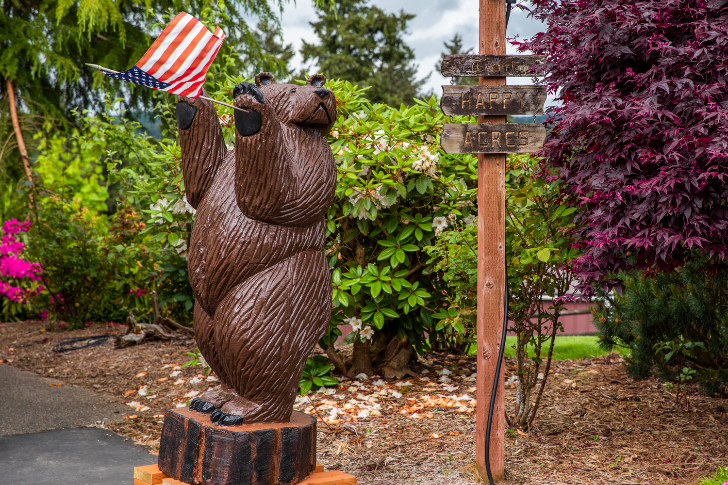 A wooden bear statue is displayed with a flag on the Trentlage property next to a sign that reads, “Happy Acres,” on Davis Hill in Centralia.