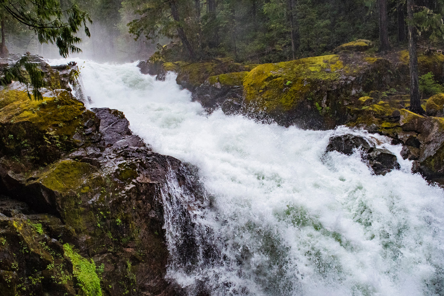 The Ohanapecosh River cascades down the Silver Falls in Mount Rainier National Park on Sunday afternoon.