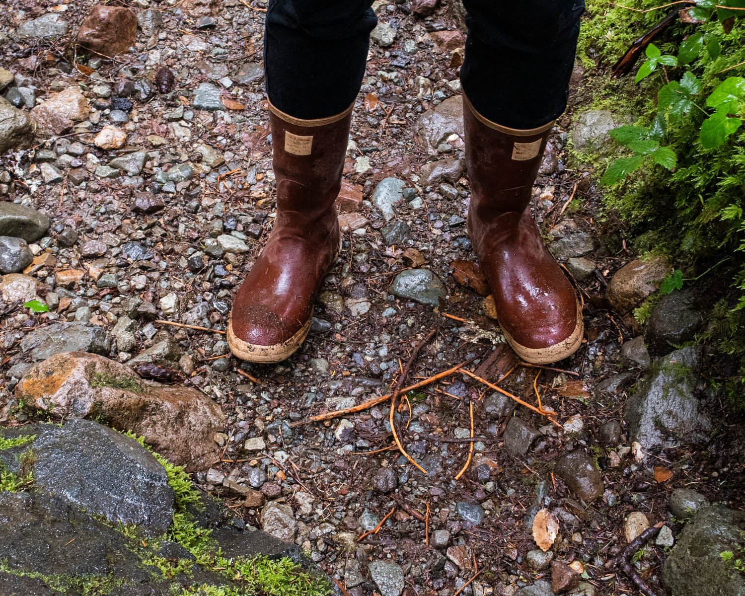 A hiker’s rubber boots are pictured during a rainy day at Ohanapecosh in Mount Rainier National Park on Sunday afternoon.