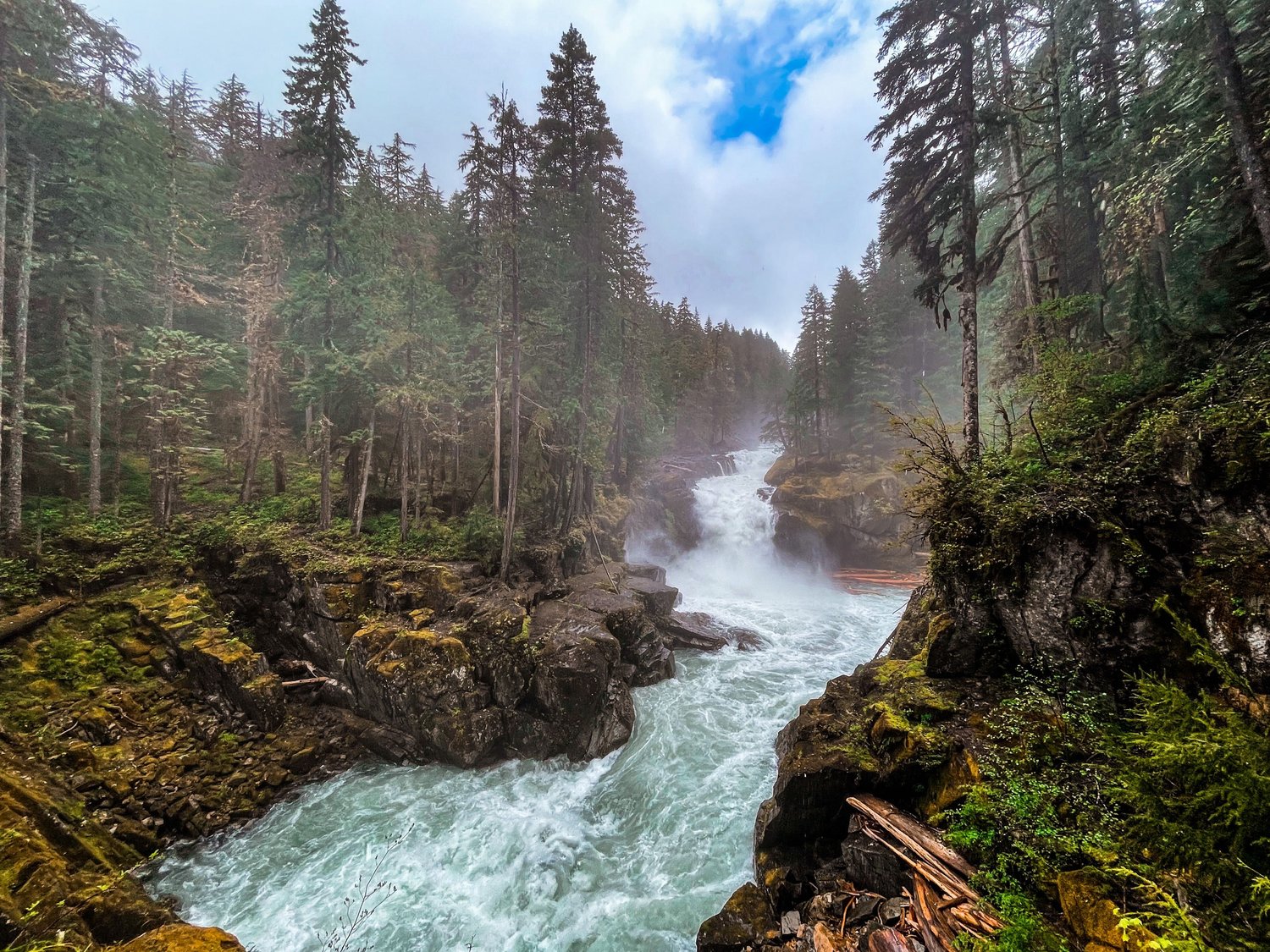 The Ohanapecosh River cascades at Silver Falls in Mount Rainier National Park on Sunday, June 5, 2022.