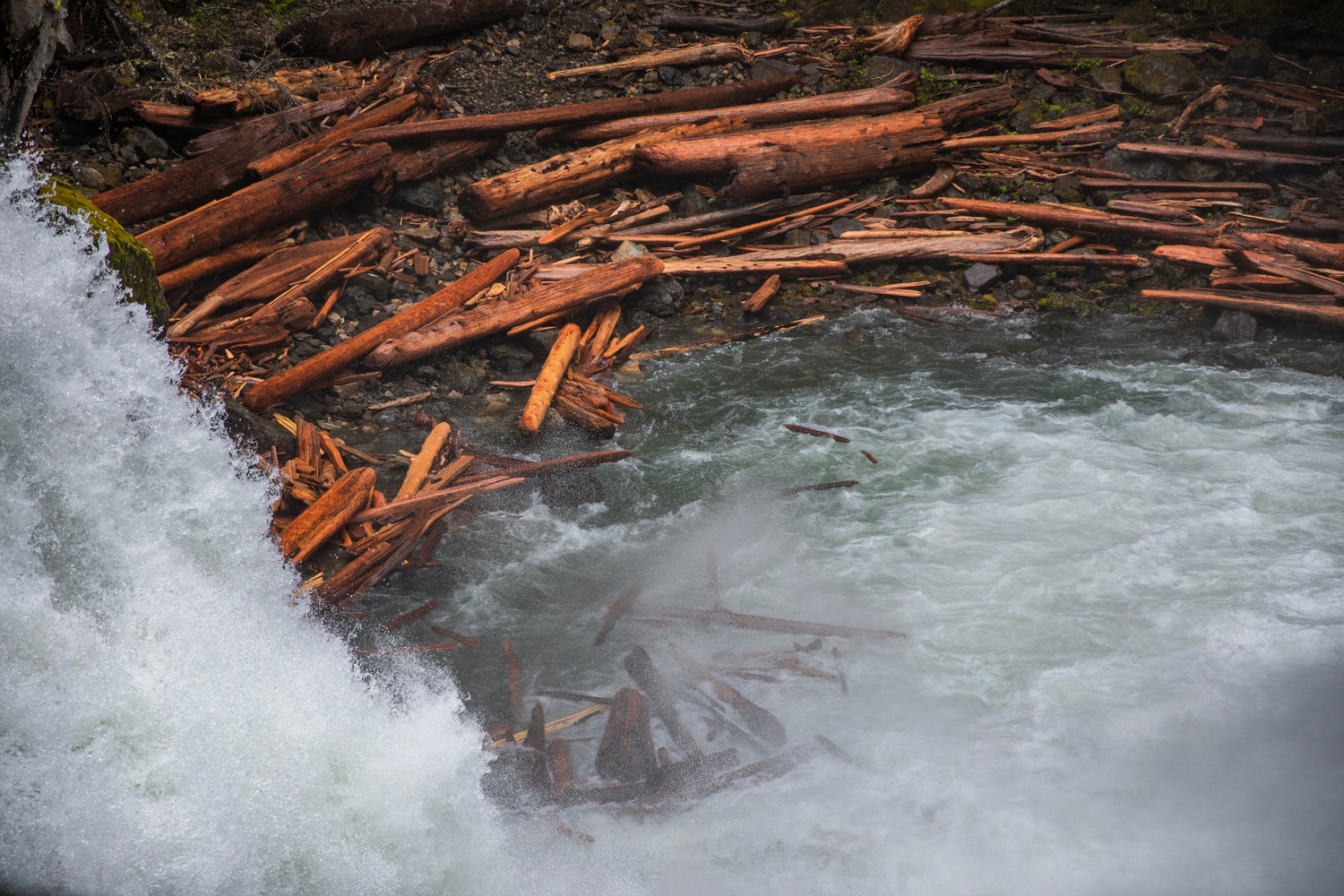 Logs pile up at the bottom of Silver Falls near the Ohanapecosh Campground on Sunday in Mount Rainier National Park.