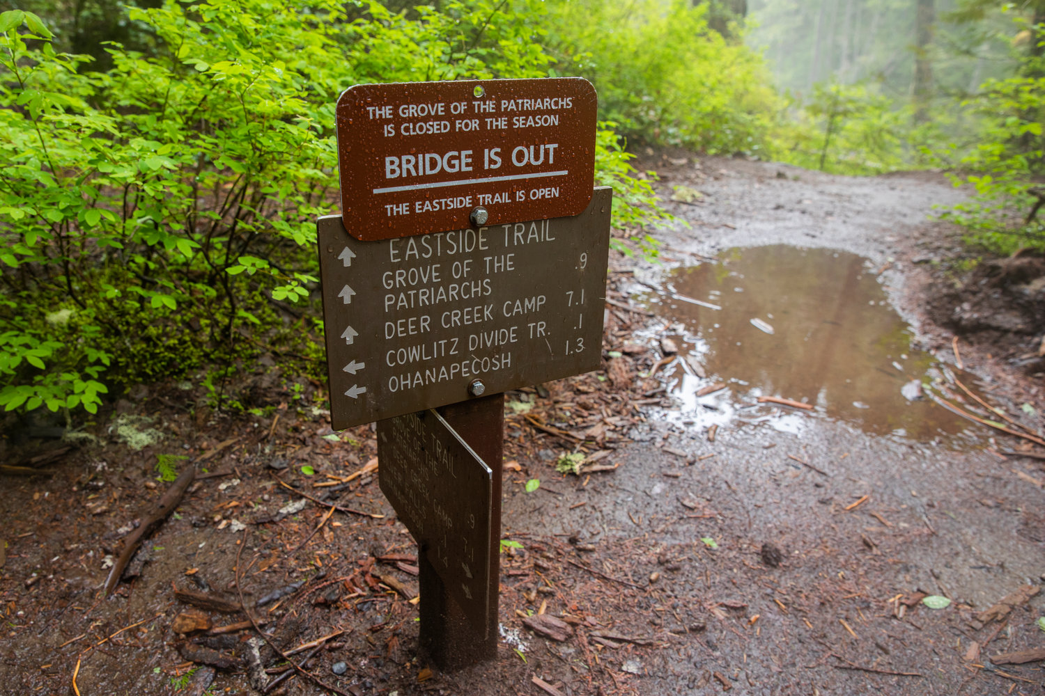 The Grove of the Patriarchs remains closed because the “bridge is out,” per signage near the Ohanapecosh River in Mount Rainier National Park.