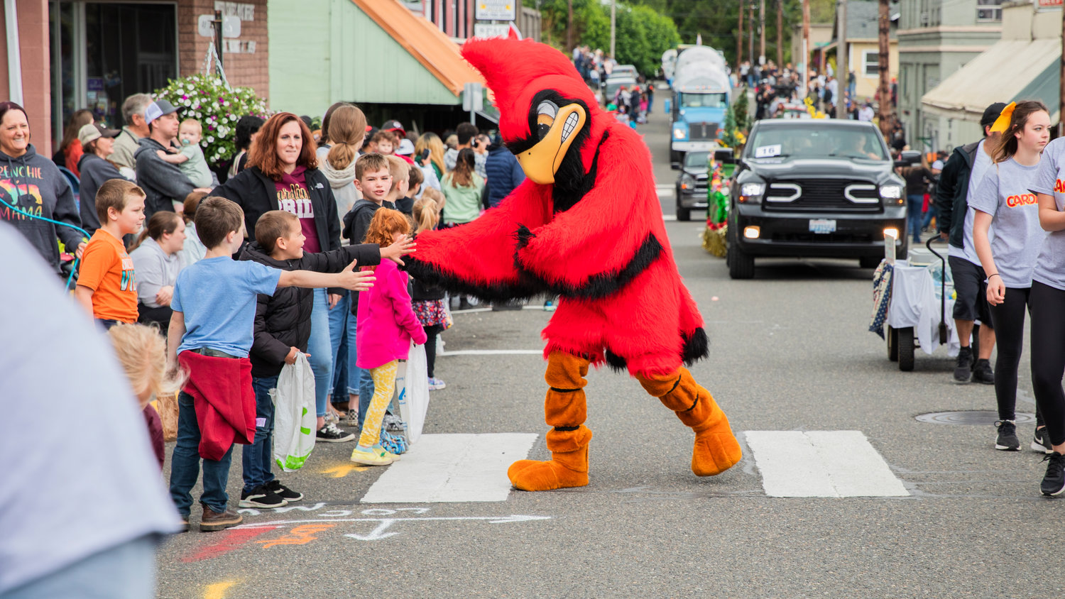 The Cardinal mascot gives out high-fives during the Egg Days Festival parade in Winlock on Saturday.