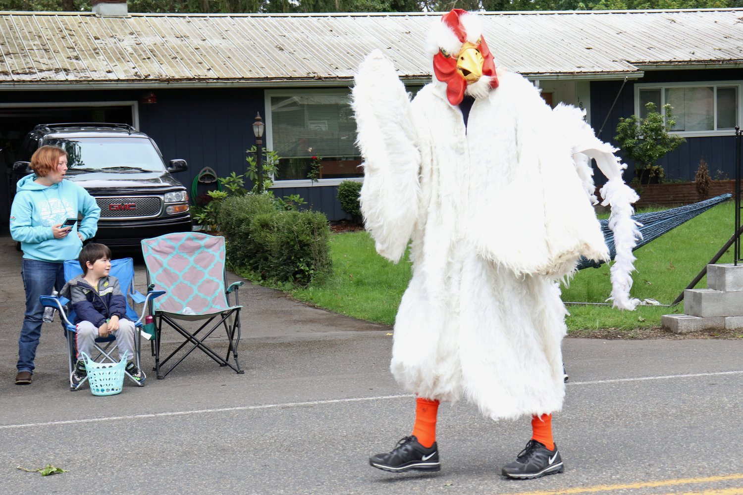 A chicken promoting Independence Valley Community Hall’s upcoming Chicken Races event strikes a pose during the Swede Day Parade in Rochester on Saturday.