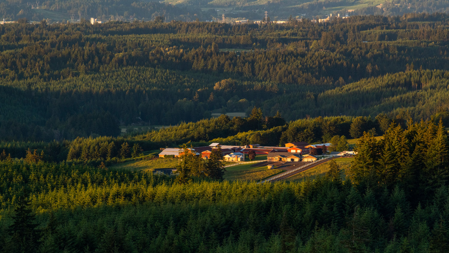 Buildings are pictured in the sun from Crego Hill in Adna on the longest day of the year as the sunset draws near.