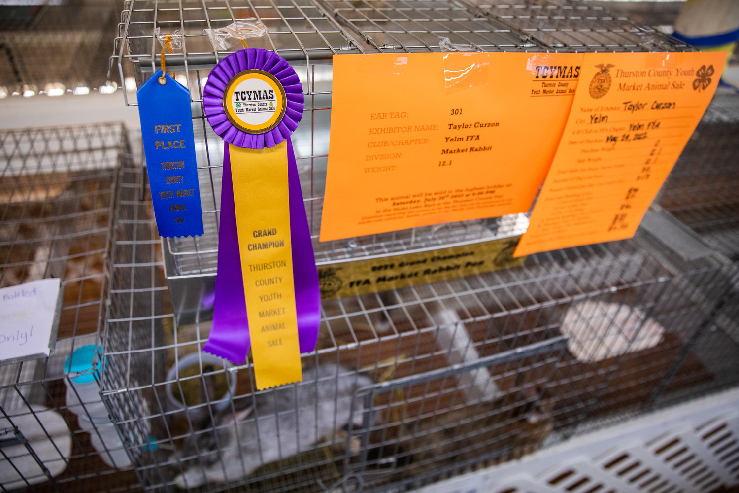 Taylor Curzon, of Yelm, displays First Place and Grand Champion ribbons for rabbits in the Thurston County Youth Market Animal Sale Thursday in Lacey.