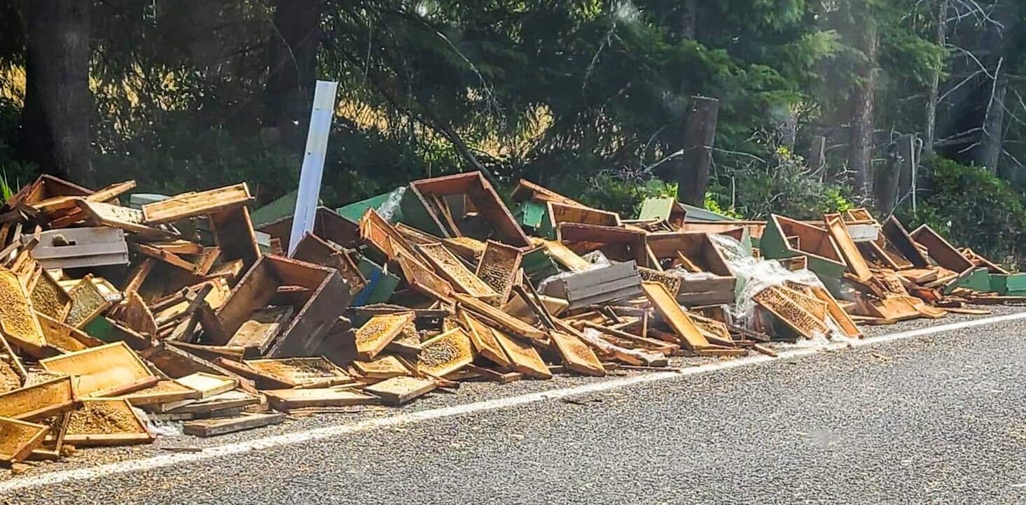 This photo from Julie Wiseman shows the beehives dumped on Frogner Road in Adna.
