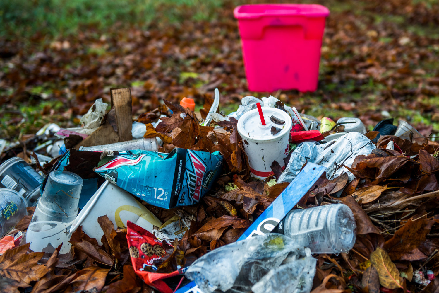 A pile of trash stacked by volunteers sits not far from where the trash was originally found during a community clean-up near Hayes Lake in Centralia last year.