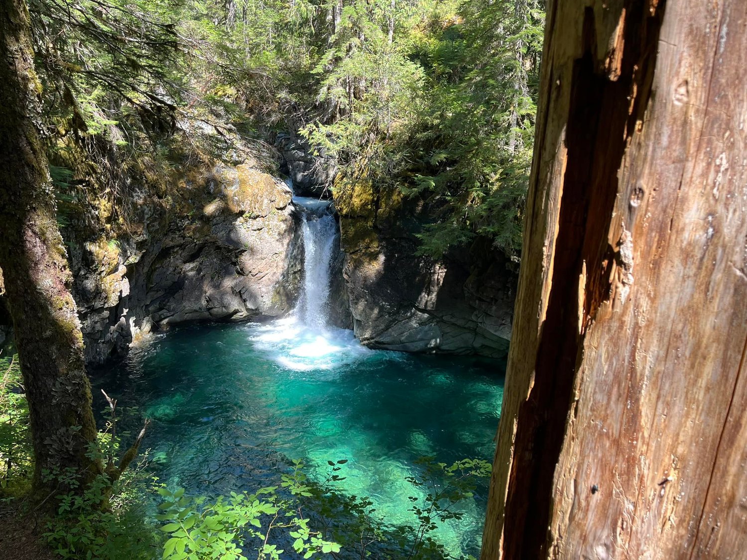 Chehalis resident Brian Zylstra captured these images during a weekend trip to Stafford Falls. These photographs were taken from near the Eastside Trail in Mount Rainier National Park on Sunday, Aug. 21.