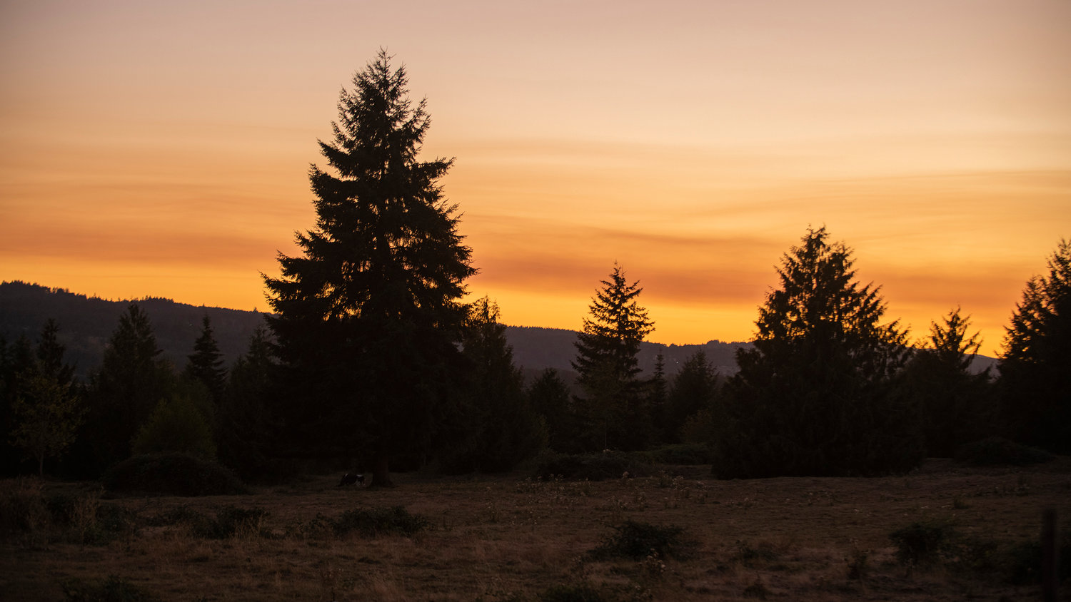 The sun sets over the Willapa Hills as seen from Highway 603 near Tune Road.