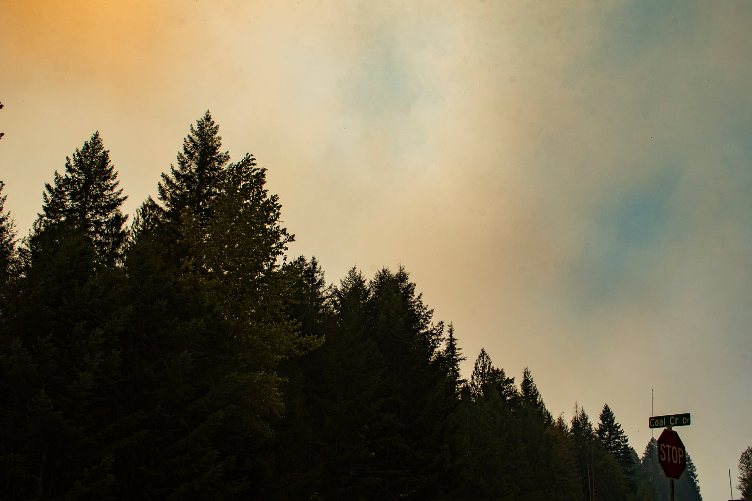 Smoke from the Goat Rocks Fire rises in heavy orange plumes above the trees near Coal Creek Drive east of Packwood.