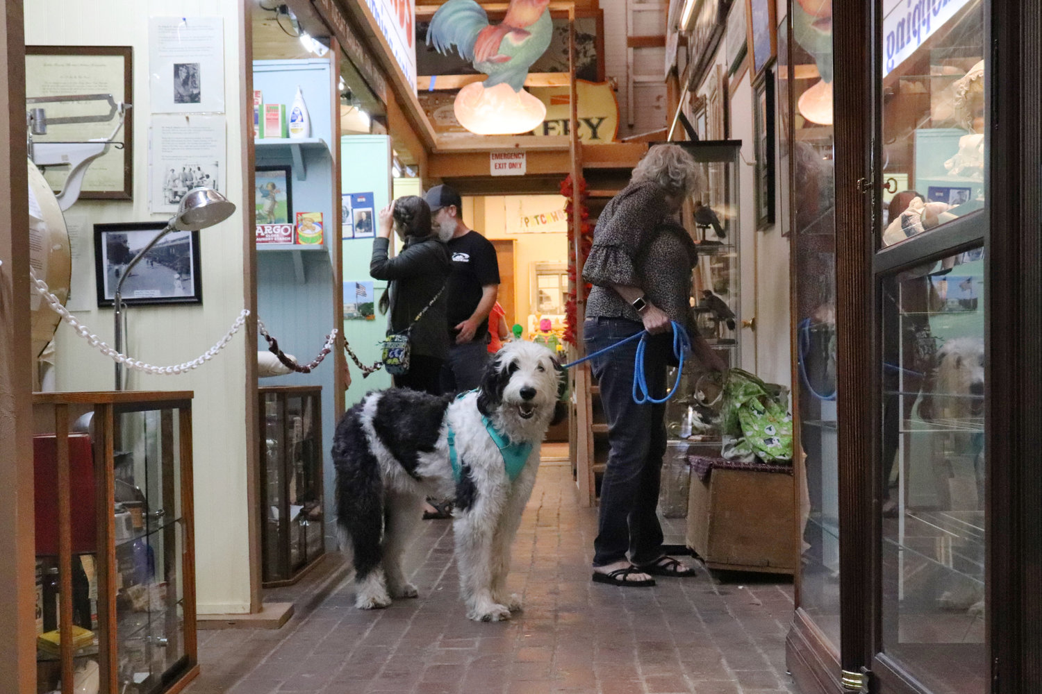 Amy Danielson takes her dog, Olaf, through the Lewis County Historical Museum during the Chehalis Flying Saucer Party on Saturday.
