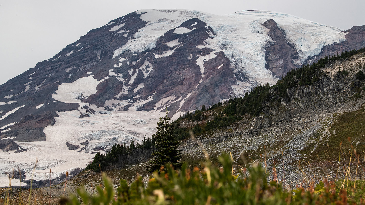 Mount Rainier scrapes the skies as the meadows of Paradise begin to turn to fall colors on Wednesday.