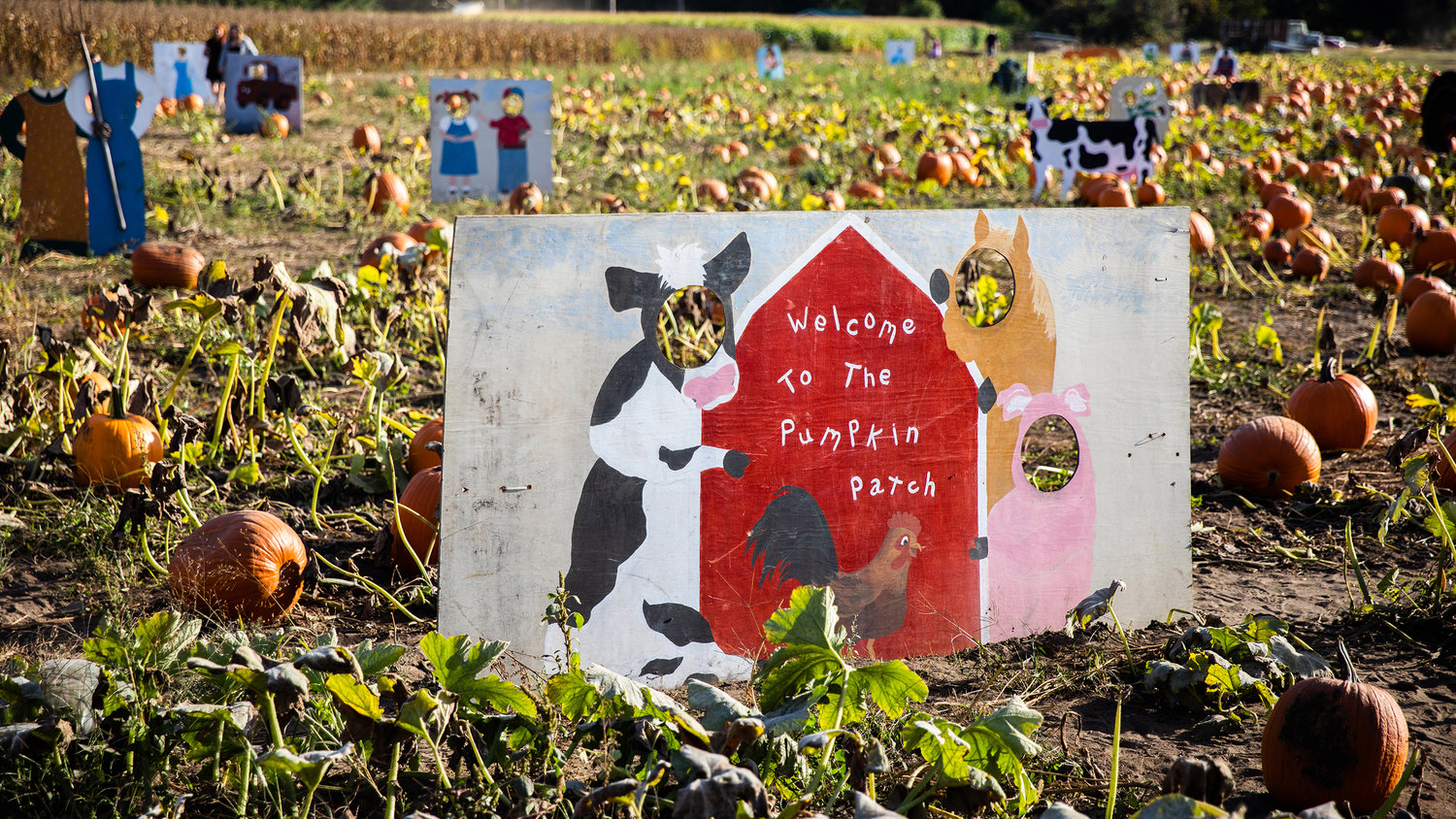 Signage welcomes visitors to the Goodrich Road Pumpkin Patch in Centralia on Monday.