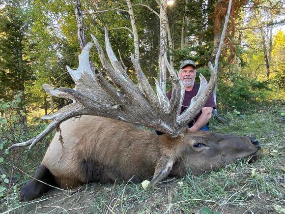 Hoquiam hunter Brian Dhoogie poses in front of the massive bull elk he shot a few weeks ago at a ranch in Idaho.