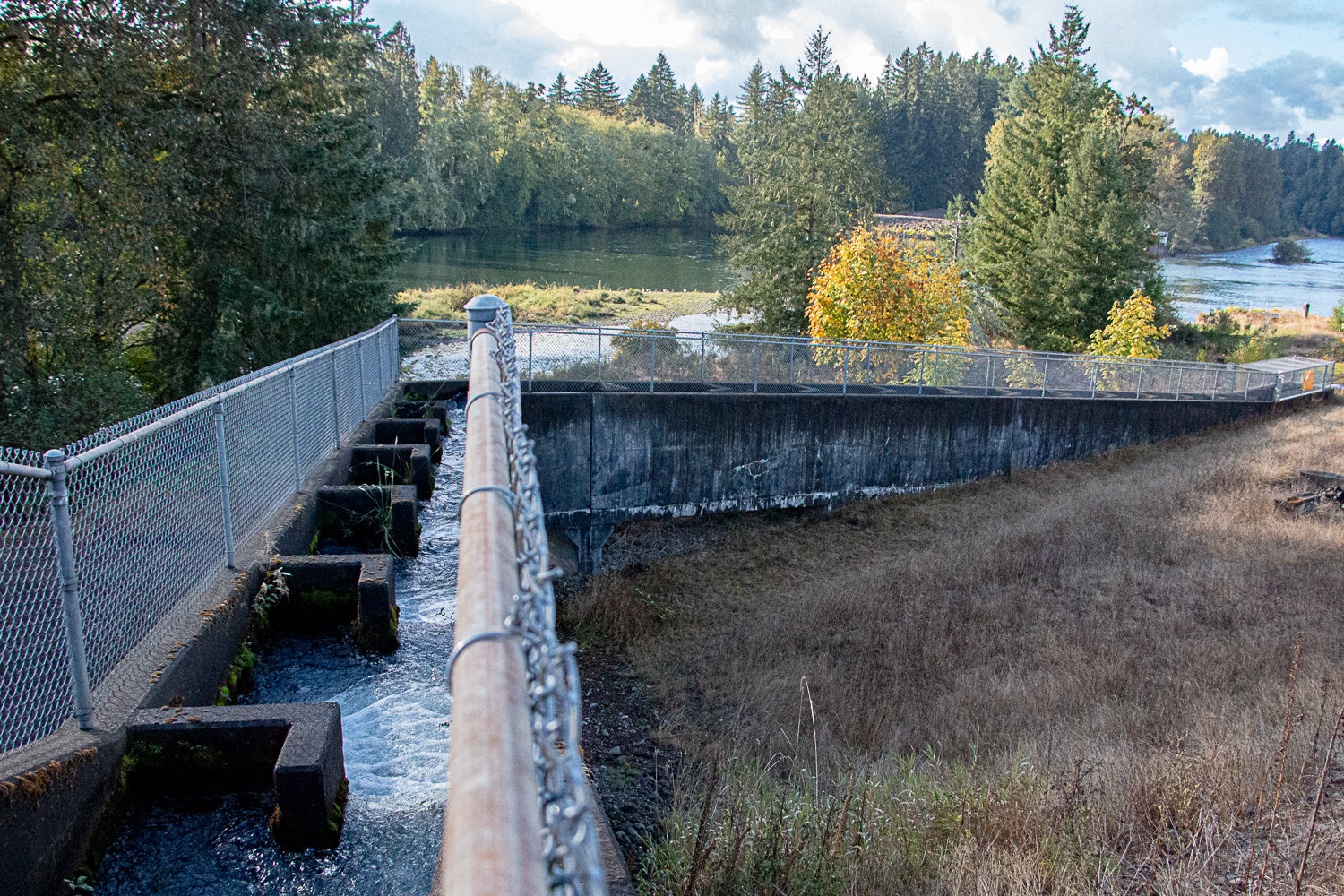 The fish passage bridge at the Cowlitz Salmon Hatchery helps adults swimming back up stream navigate around the Barrier Dam.