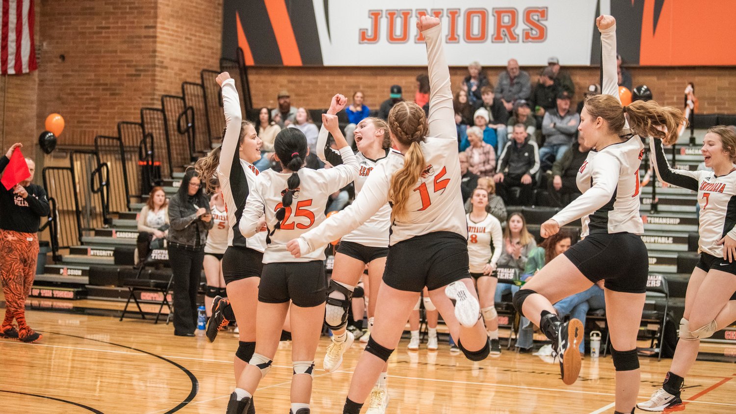 Tigers celebrate a point Thursday night during a volleyball match against Rochester.